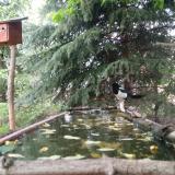 photo 2023-05-03 12-26-28