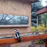 photo 2022-11-15 09-52-09