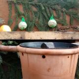 photo 2023-12-30 10-32-12