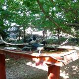 photo 2022-06-05 16-20-36