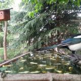 photo 2023-05-03 12-27-53