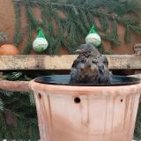 photo 2024-01-24 09-12-54