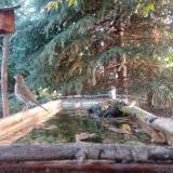 photo 2023-09-10 06-49-24