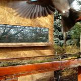 photo 2022-11-20 10-33-04