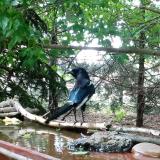 photo 2022-05-29 12-58-39