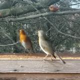 photo 2023-01-11 12-43-54