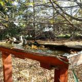 photo 2022-10-22 10-45-44