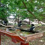 photo 2022-05-23 12-45-05