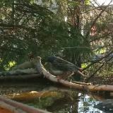 photo 2022-04-13 07-20-46 seregely