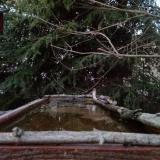 photo 2023-03-18 18-00-23