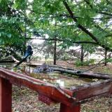 photo 2022-05-25 06-05-48