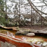 photo 2022-02-21 08-46-48