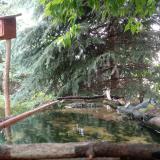 photo 2023-06-07 12-05-58