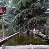 photo 2023-04-07 18-49-38