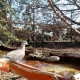 photo 2022-02-20 09-34-26