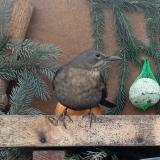 photo 2024-01-14 08-26-50