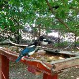 photo 2022-06-01 14-47-51