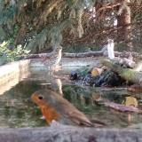 photo 2023-09-10 06-48-24