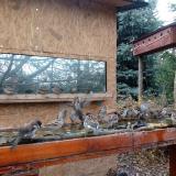 photo 2022-11-28 12-35-32