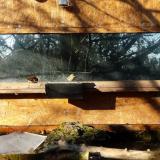 photo 2023-12-04 09-36-08