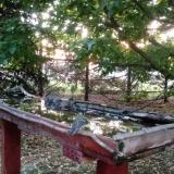 photo 2022-05-11 05-24-14