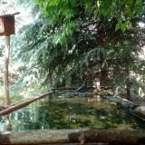 photo 2023-06-07 14-13-08