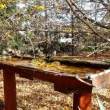 photo 2022-10-23 13-12-57