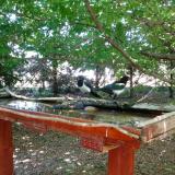 photo 2022-06-03 13-28-05