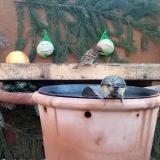 photo 2023-12-28 08-56-32