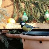 photo 2024-01-14 12-39-09