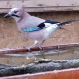 photo 2022-12-08 15-18-46