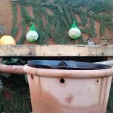 photo 2024-01-04 08-39-47