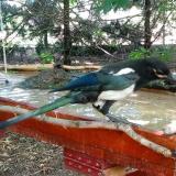 photo 2022-06-27 13-21-43