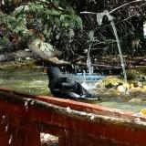 photo 2022-10-17 11-50-33 rigo