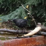 photo 2022-11-26 10-05-36