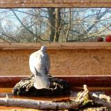 photo 2022-02-10 14-14-47