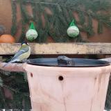 photo 2024-01-22 08-22-12