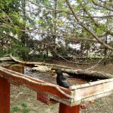 photo 2022-04-08 12-38-30