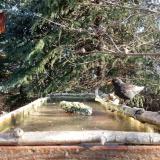 photo 2023-03-12 08-21-01