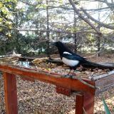 photo 2022-10-20 08-25-42