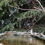 photo 2023-03-22 15-57-13