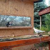 photo 2022-10-26 14-16-20