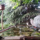 photo 2023-05-13 18-51-38