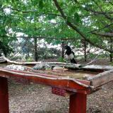 photo 2022-06-07 15-56-26