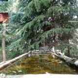 photo 2023-04-05 12-41-51