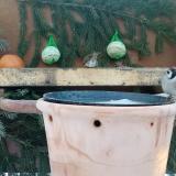 photo 2024-01-21 08-05-37