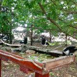 photo 2022-05-23 12-34-13