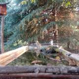 photo 2023-09-10 06-48-19