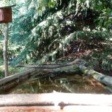 photo 2023-08-31 16-00-18