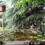 photo 2023-05-17 15-44-40